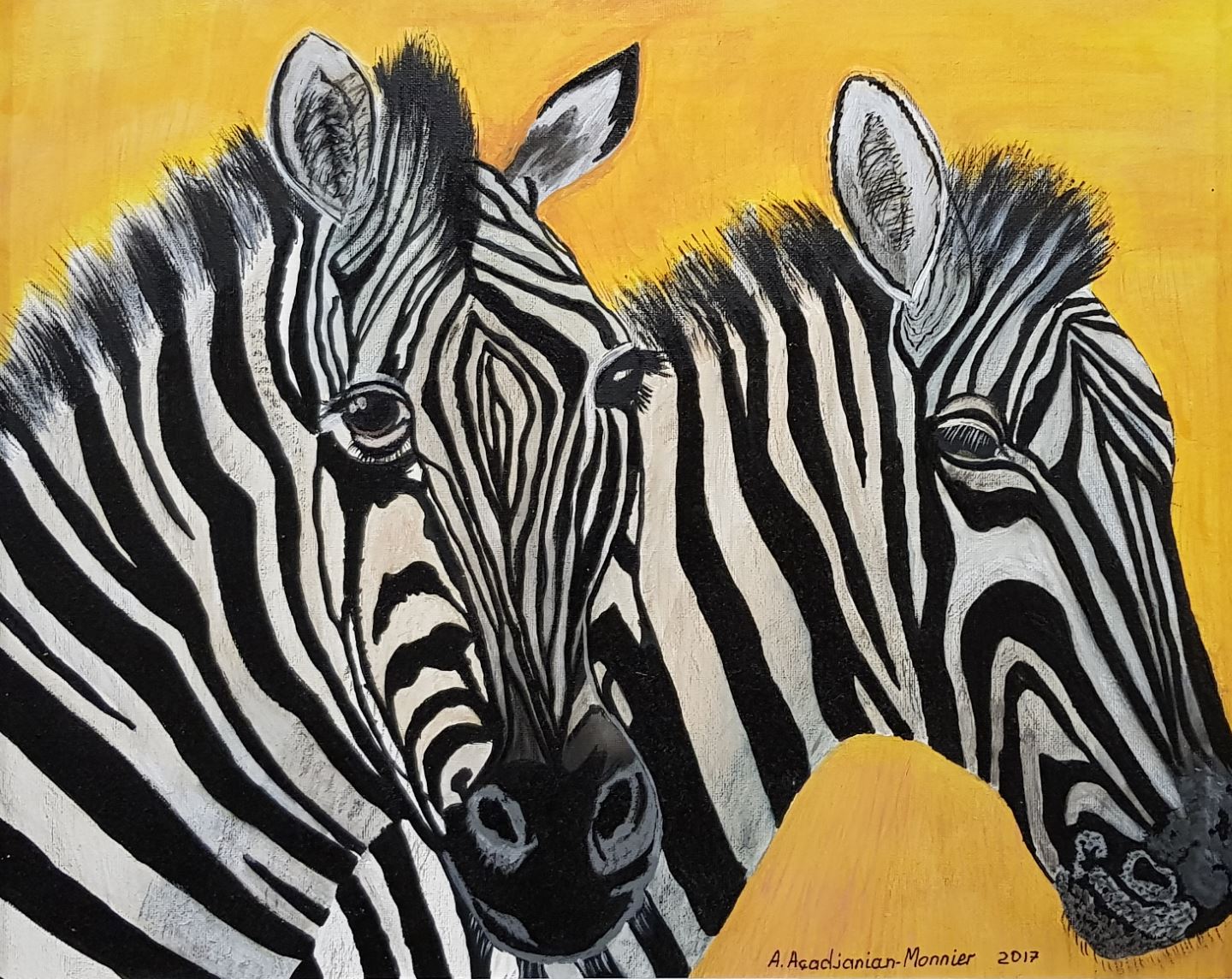 REGARD Zebra