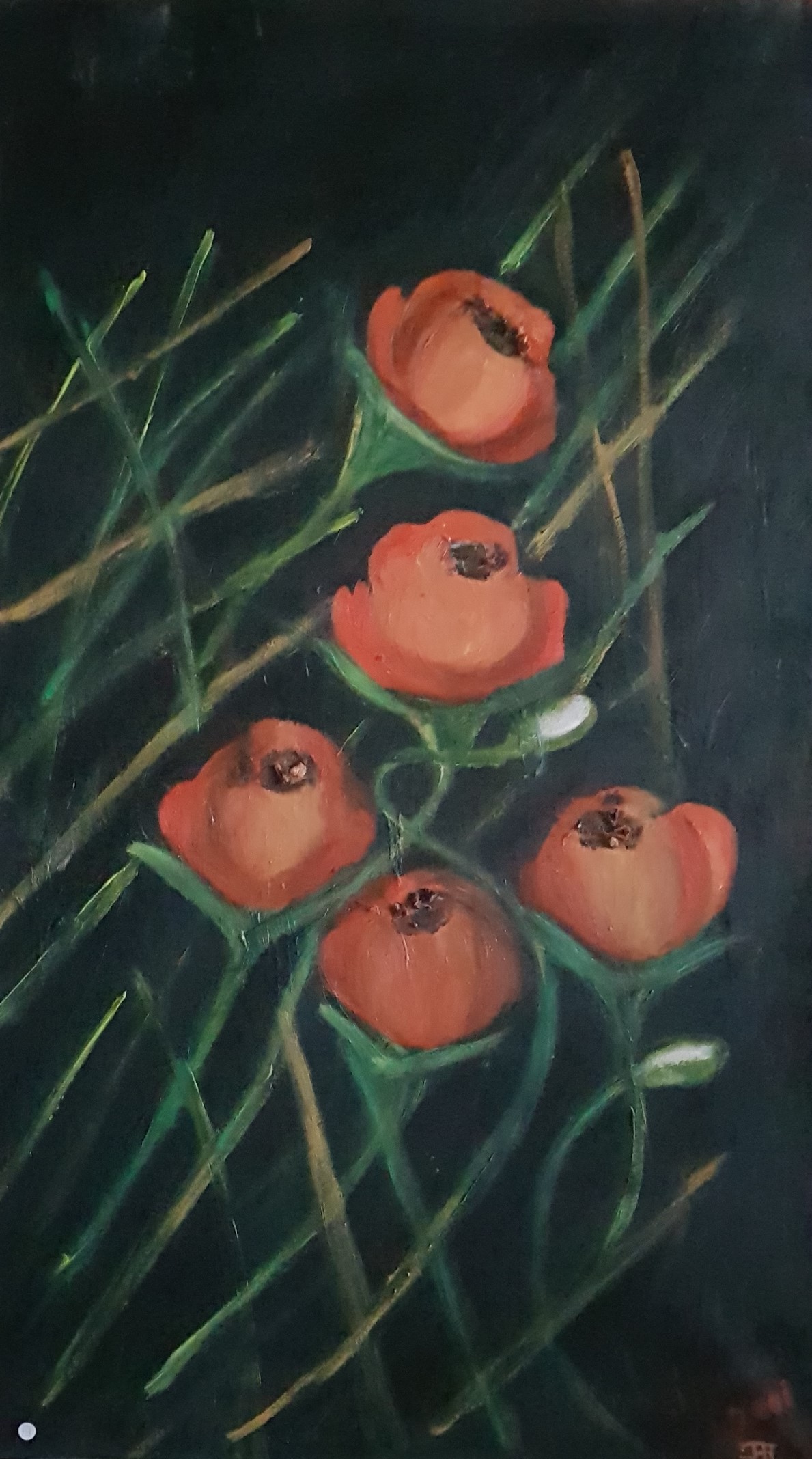 230108 jardin de roses